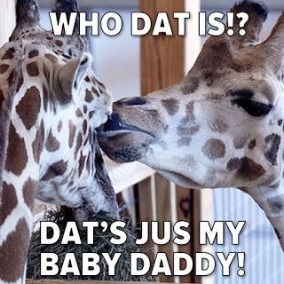 April The Giraffe Baby Daddy – Memes