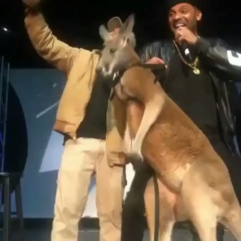 Mike Epps Kangaroo Video
