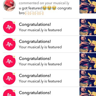 What Does It Mean When Musically Says Congratulations? – Login Failed?