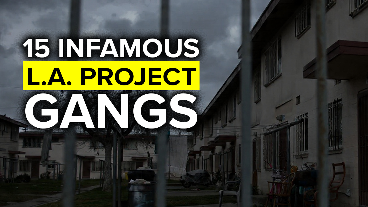Exploring LA’s Dark Legacy: 15 Infamous Gangs That Shaped the City’s Housing Projects